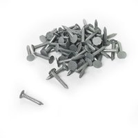 NAC040 10kg tub of 40 x 2.65 galvanised clout nails