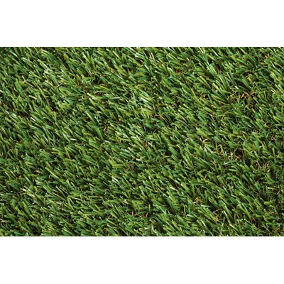 GRASS0001