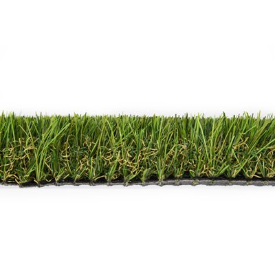 GRASS0002