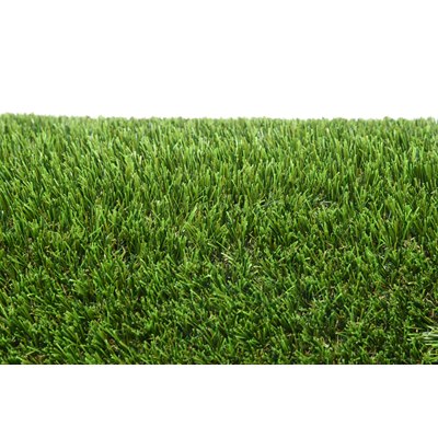GRASS0002