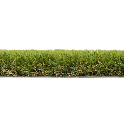 GRASS0003