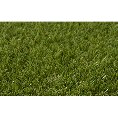 GRASS0003