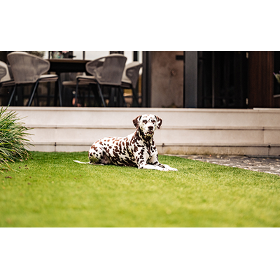 GRASS0003