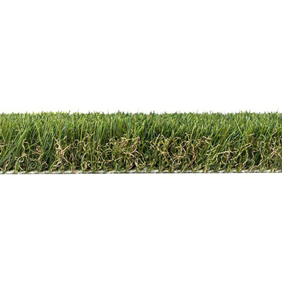 GRASS0004