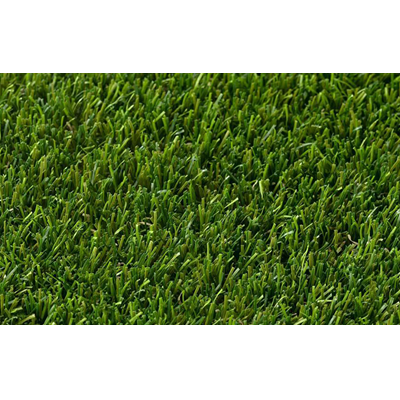 GRASS0004