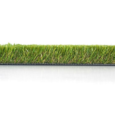 GRASS0006