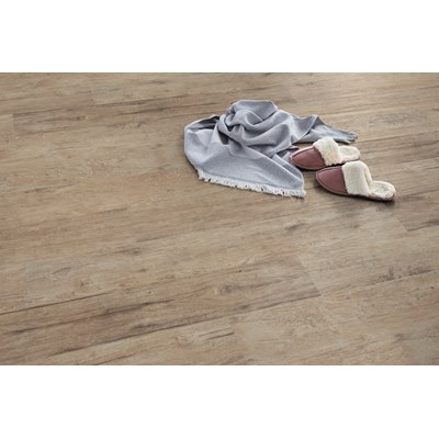 PALIO0004
